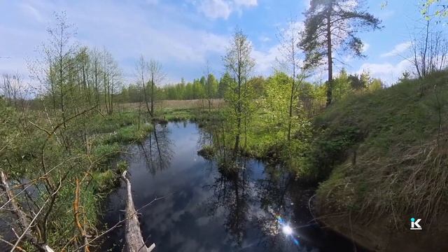Весенние зарисовки. Часть 1.