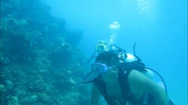 Black Rock Maui Scuba Diving | With In2Scuba Maui Dive Co