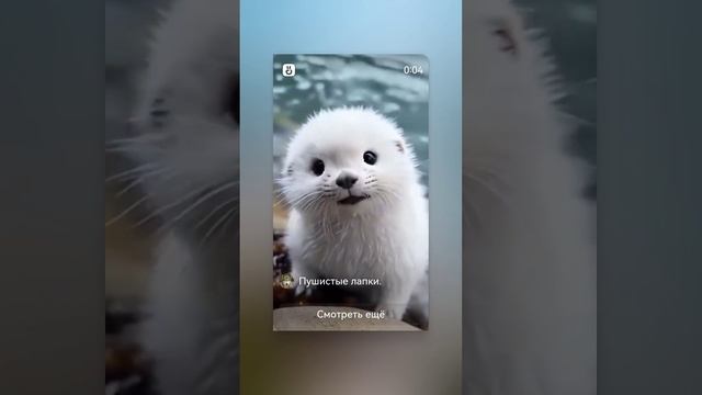 какой милый 🥰