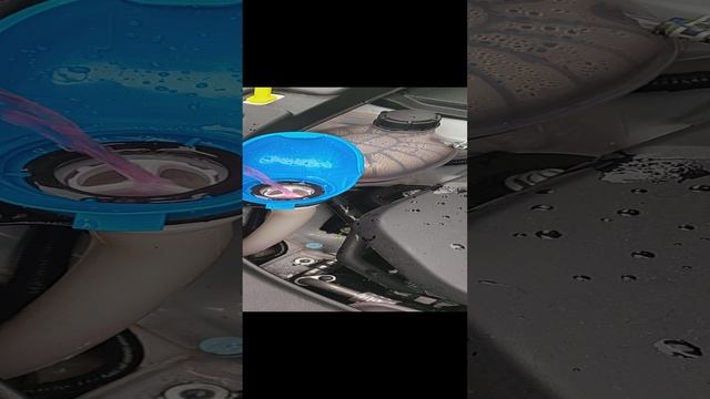 VID_20241202_132848.mp4
