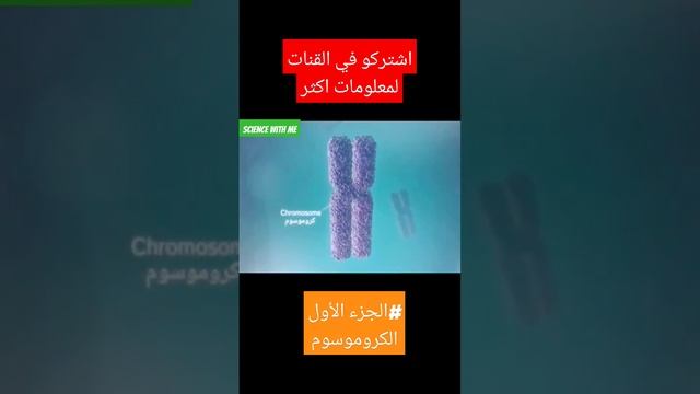 #الجزء1مدخل للتعبير المورثي #العلوم_والحياة #الإستنساخ #الترجمة #bac2025 #البكالوريا #اكسبلور