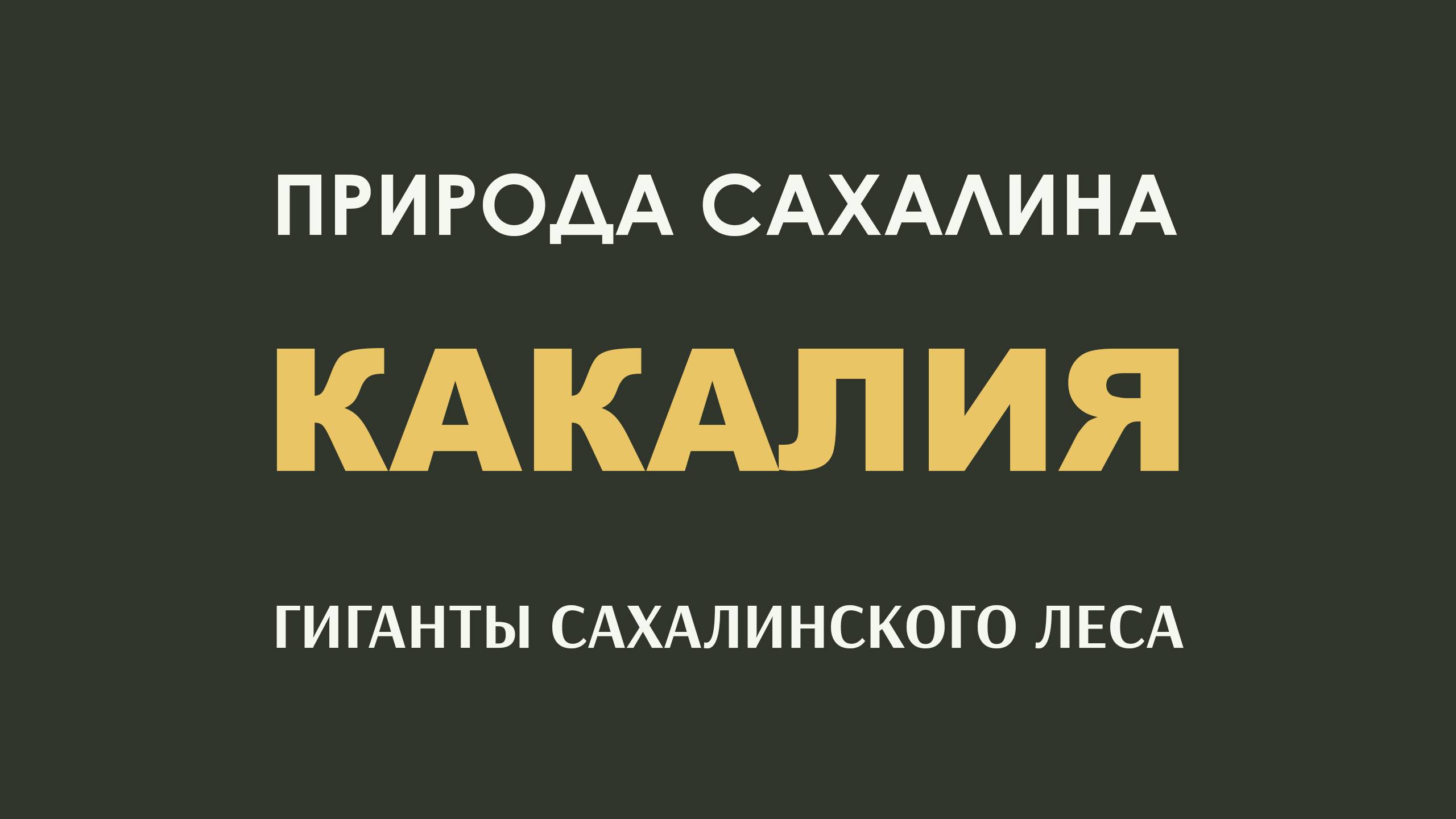 КАКАЛИЯ