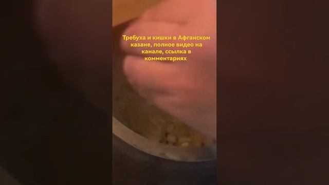куырдак из шек карын