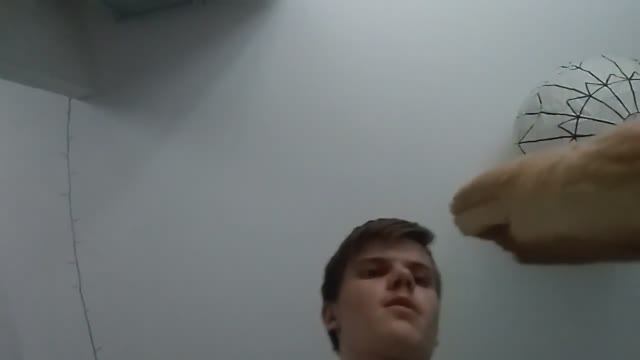 Батон-монстр. Фильм, 2019. Комедия, ужасы, фантастика.