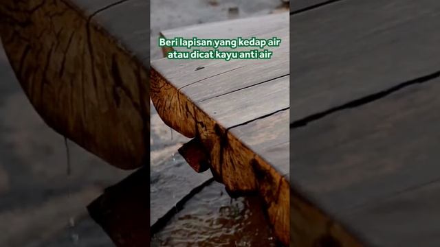 Cara Agar Pintu Jendela Kayu Awet Dari Rayap