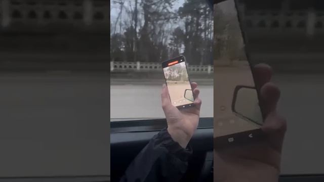 На улице Кисловодска  разгуливает дикий кабан
