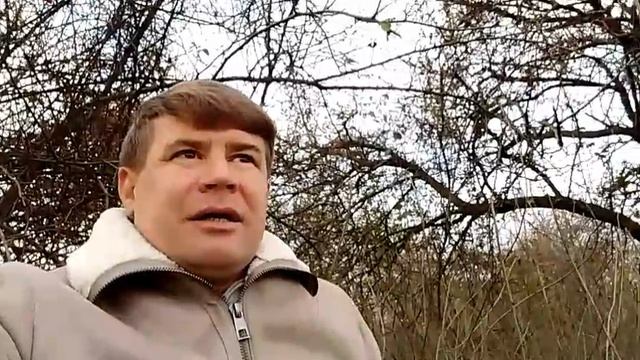 Курорт 18+.