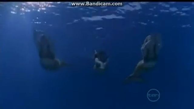 H2O Just Add Water Season 1-2 Opening