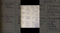 summary of digestion #digestion #enzymes #digestivesystem