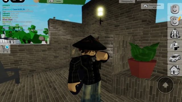 Типичный брукхевн
