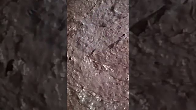 Пирог на скорую руку. 😋👍На варенье из ежемалины.