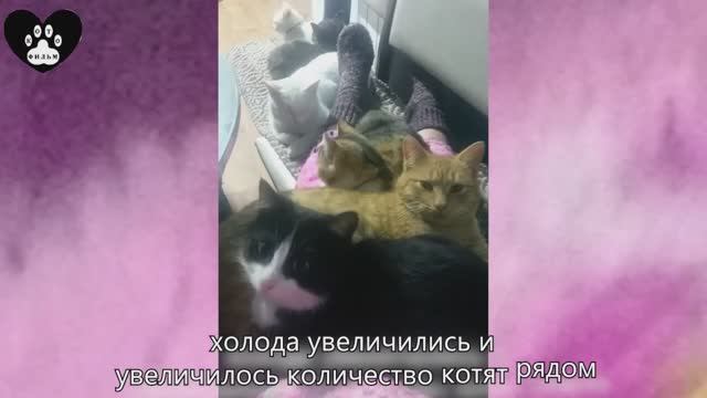 Двадцать пятая серия