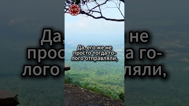 Зачем мальчики жили в лесу