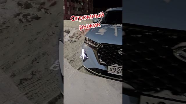 Чери