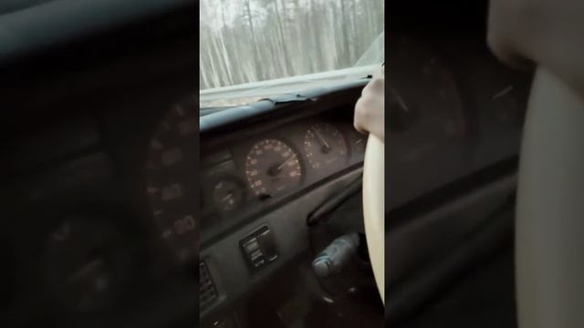 Дорога домой