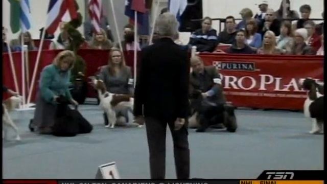 Tonka At The Purina Show Of Champions