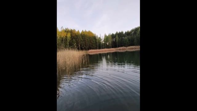 Наша жизнь полна чудес! Филиппов Егор  4 А класс