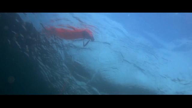 Scuba diving Sweden. Kulla lå and Ransviksrevet outside the Kullaberg Peninsula. June 27, 2020.