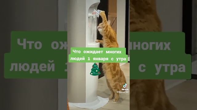 1000002091.mp4