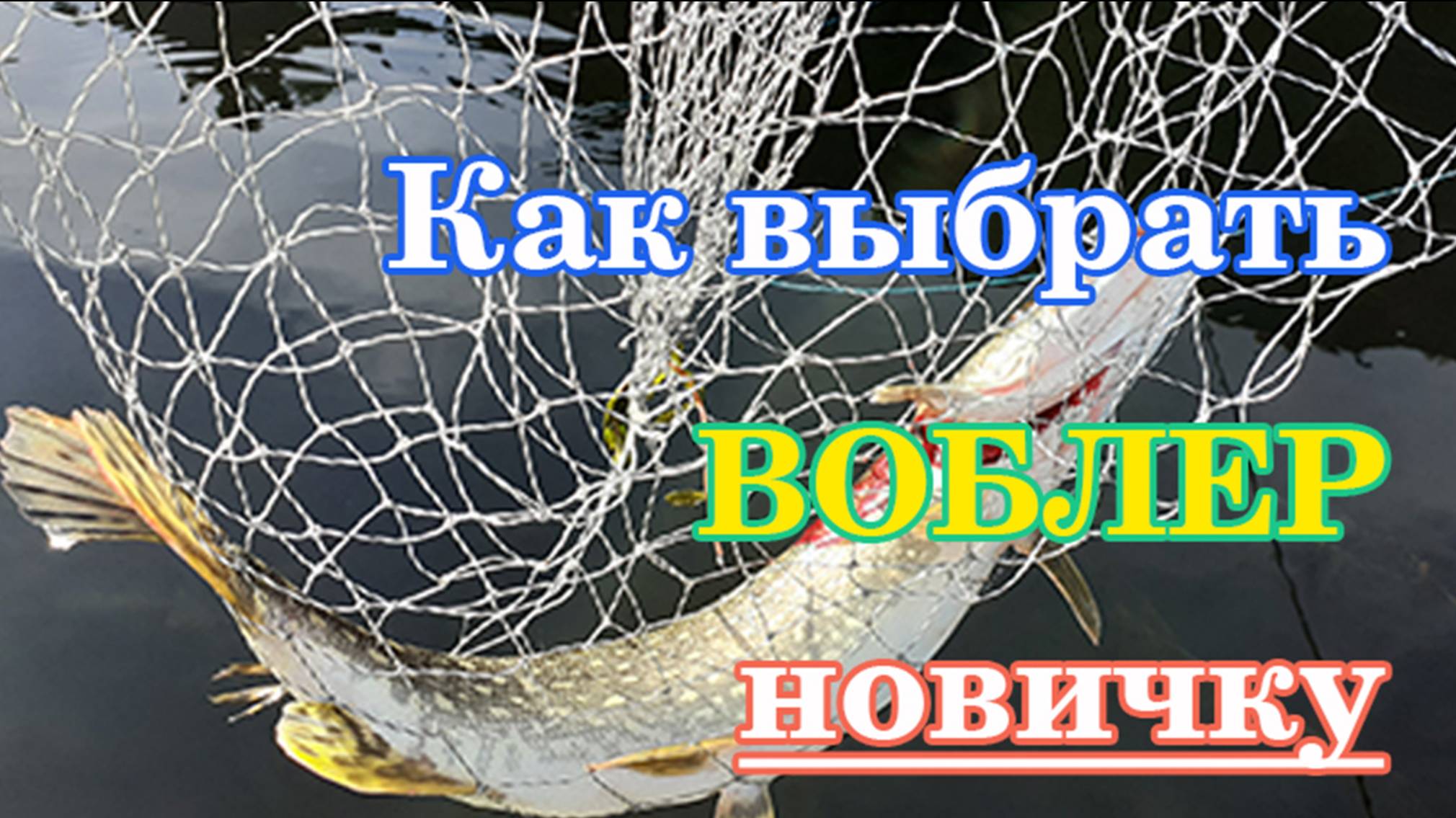 Выбор воблера для новичков
