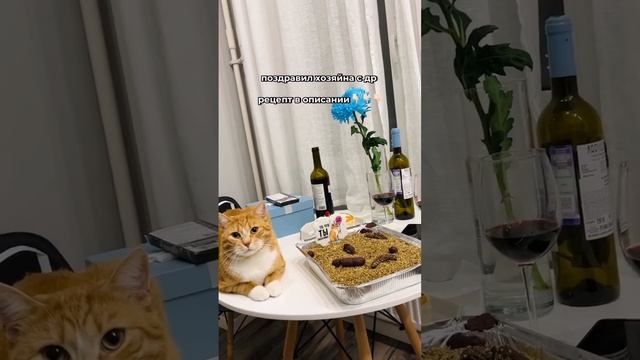 Современная кулинария 🫣🐈