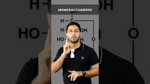 How are carbohydrates classified?