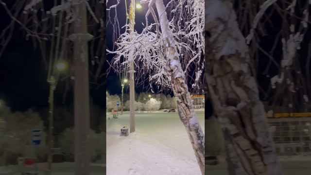 Мурманская область, Три соуса #мончегорск #мурманск #recommended #shortvideo #крайнийсевер #кафе