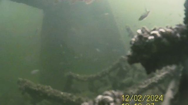 1000034241.mp4Волга гл 4м.02.12.2024г.
