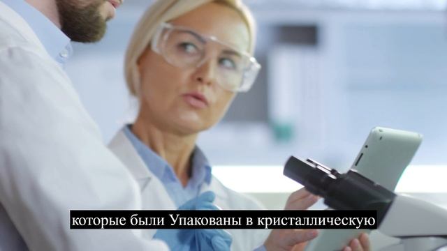 Ученым удалось остановить старение стволовых клеток