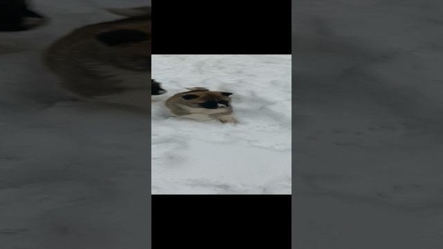 1000001330.mp4