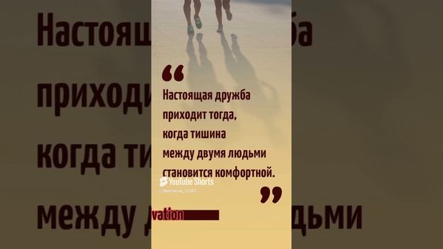 Цитата#126 «Настоящая дружба» #дружба #цитаты #motivation #shorts