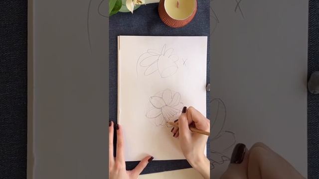 Рисуем цветок. Подпишись !