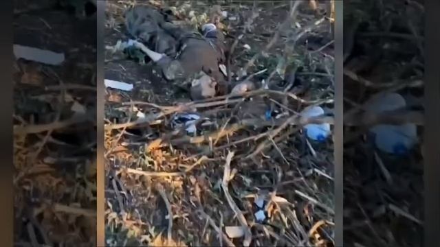 🔴За шо гибнут тысячими? За макдональдс и кока-колу?🙂🔴