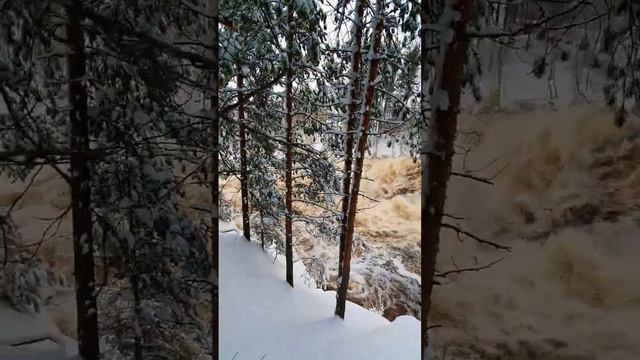 так выглядит сброс воды на ГЭС в Гирвасе