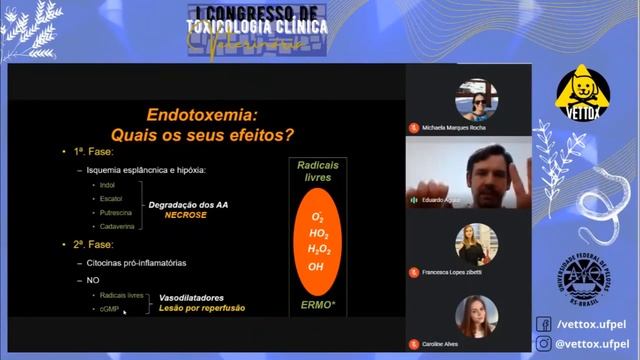 Endotoxemia na Dilatação Volvo Gástrica