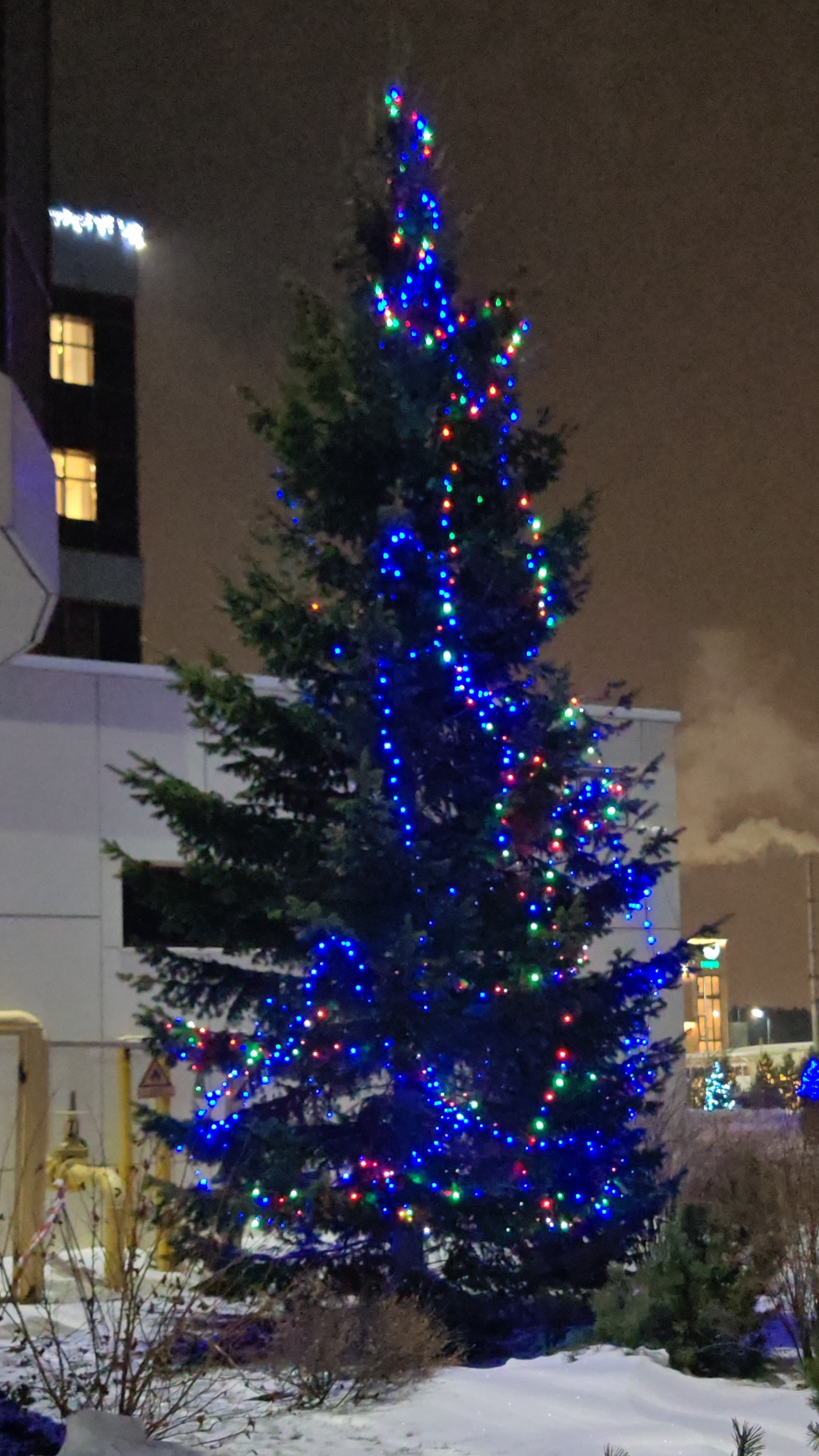Новосибирск. Готовность 99,9% 🎅