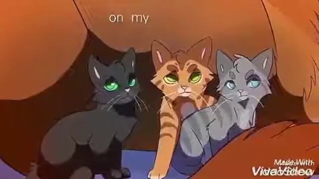 Коты воители {Огонь уголька}клип-Ну и что, что я псих?!