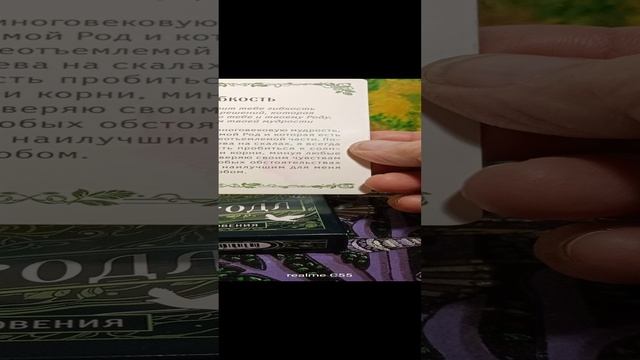 что вам хочет передать ваш род.