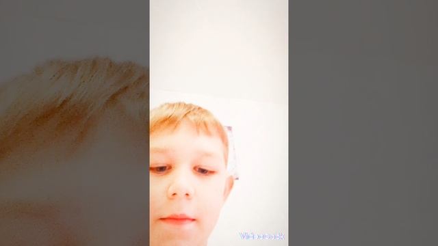 VideoCook_20241202_121725403.mp4
