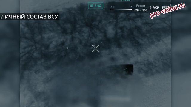 Сезон грибов уже давно позади, зачем вы бегаете по лесам?