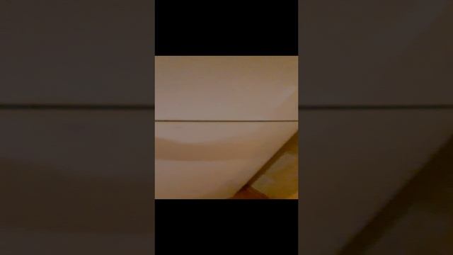 Инженерная 114,кв 16