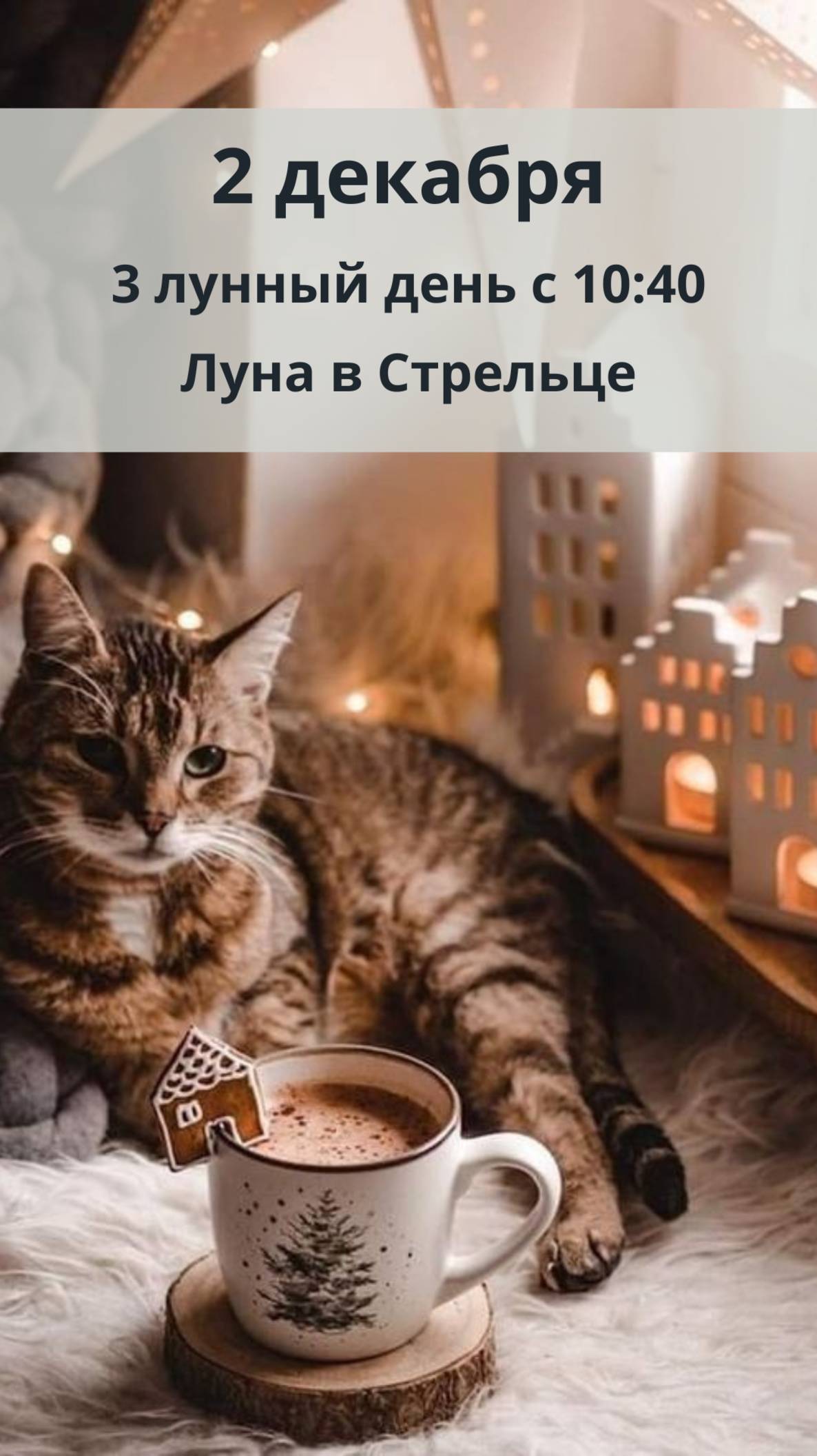 2 ДЕКАБРЯ ЛУННЫЙ КАЛЕНДАРЬ И АСТРО ПРОГНОЗ НА ПОНЕДЕЛЬНИК