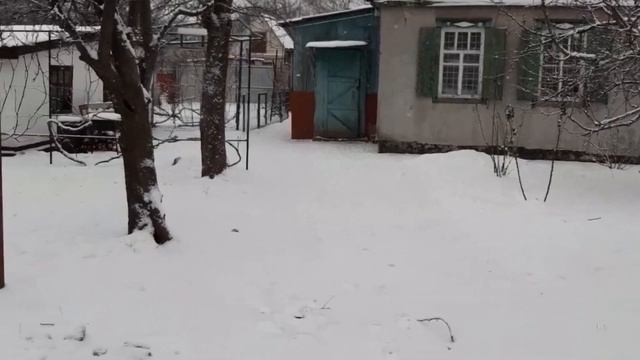 Мои ошибки в саду. Делюсь своим опытом)