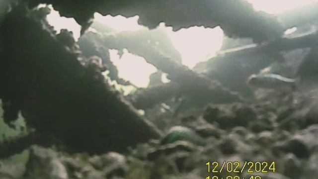 1000034247.mp4Волга гл.4м 02.12.2024г.