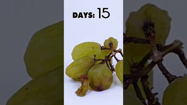 Как делают изюм