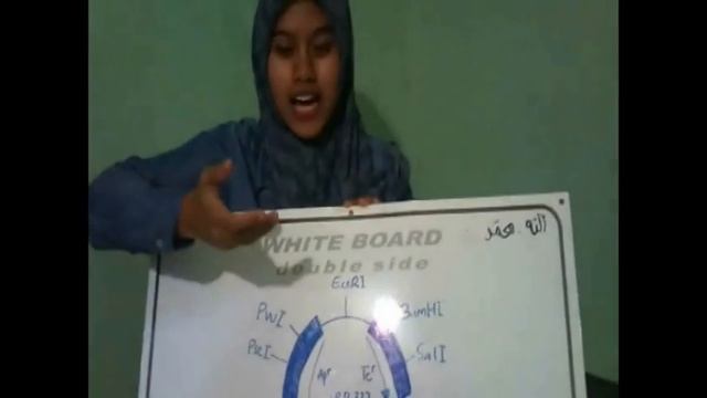 Plasmid pBR322