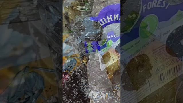 Как вырастить лук зимой?