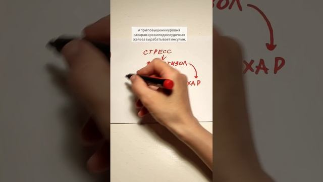 Как стресс способствует увеличению веса