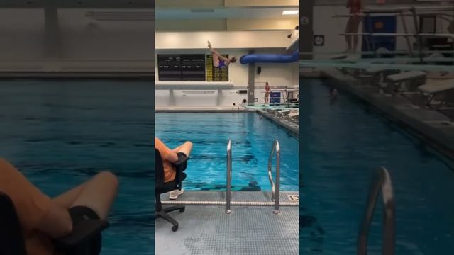 Diving….diving….diving…. 🤪 #diving #swimming #divingboards #practice