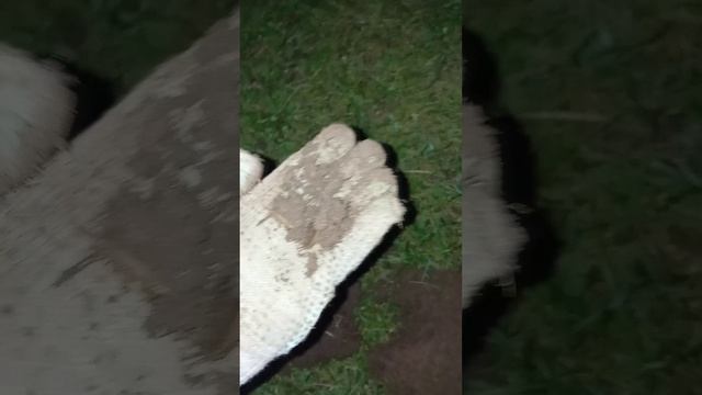 Снайперка на мусорке